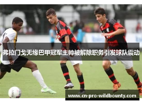 弗拉门戈无缘巴甲冠军主帅被解除职务引发球队震动 弗拉门戈无缘巴甲冠军主帅被解除职务引发球队震动