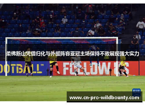 柔佛新山凭借归化与外援阵容亚冠主场保持不败展现强大实力