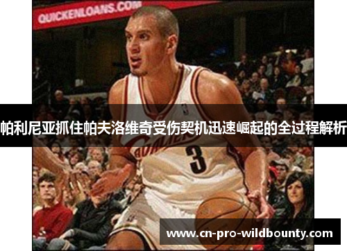 帕利尼亚抓住帕夫洛维奇受伤契机迅速崛起的全过程解析