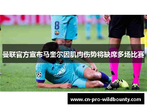 曼联官方宣布马奎尔因肌肉伤势将缺席多场比赛