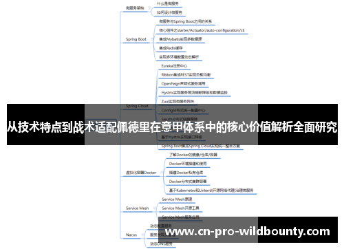 从技术特点到战术适配佩德里在意甲体系中的核心价值解析全面研究